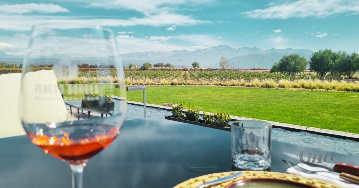 Vinho na Vinícola vs. Vinho em Casa: Por Que a Experiência Muda?